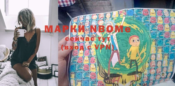 прущие грибы Магас