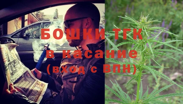 прущие грибы Магас