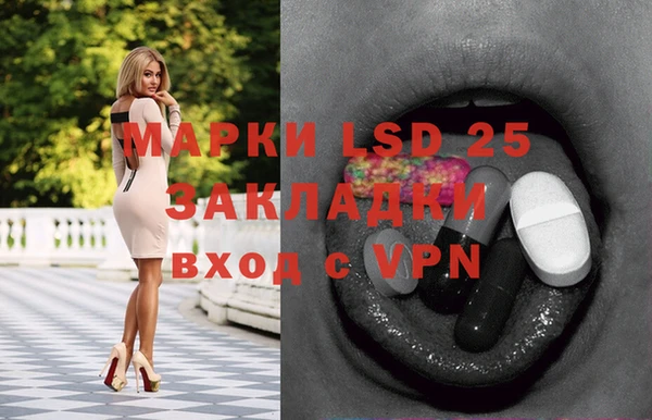 мяу мяу мука Мурманск