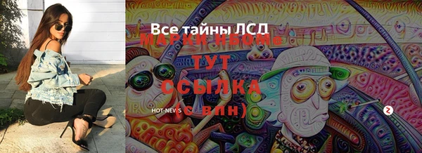 прущие грибы Магас