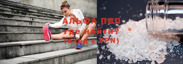 прущие грибы Магас