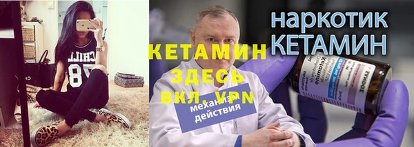 прущие грибы Магас
