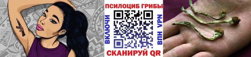 мориарти как зайти  Партизанск  Галлюциногенные грибы MAGIC MUSHROOMS  купить  цена 