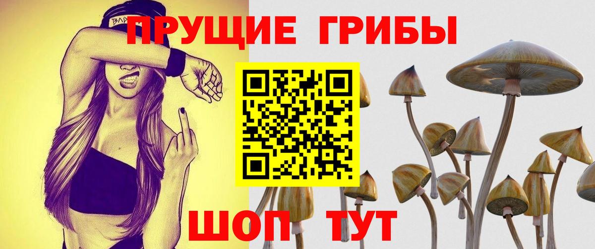 Псилоцибиновые грибы мухоморы  Партизанск 