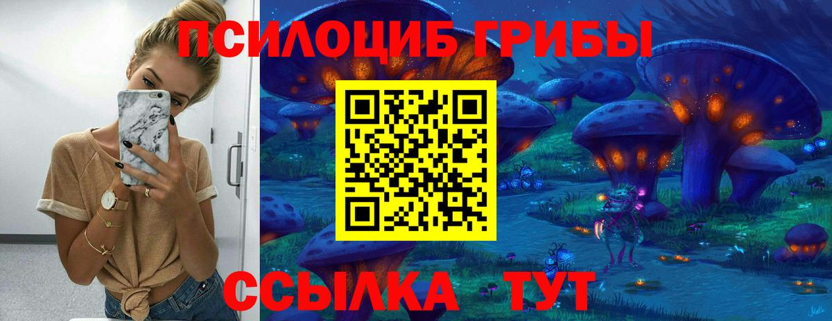 Галлюциногенные грибы прущие грибы Партизанск