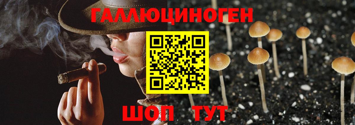 Партизанск  Псилоцибиновые грибы мицелий  Вход с VPN 